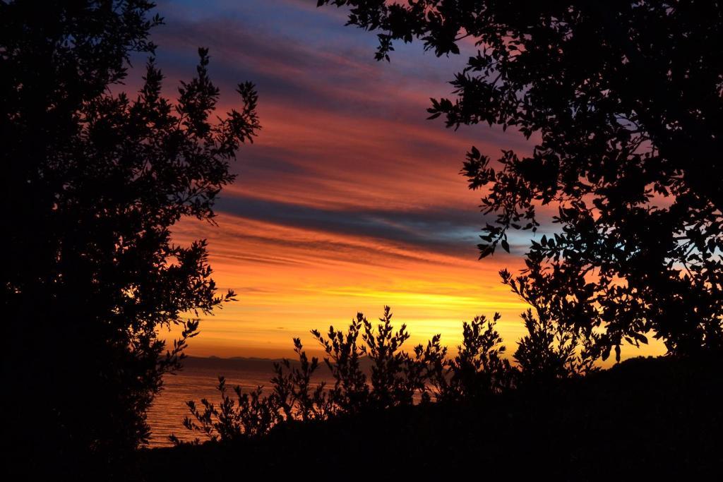 Bed & Breakfast Casa Di Babbo Macinaggio (Corsica)
